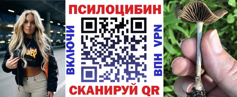 Псилоцибиновые грибы Psilocybe  Нолинск 